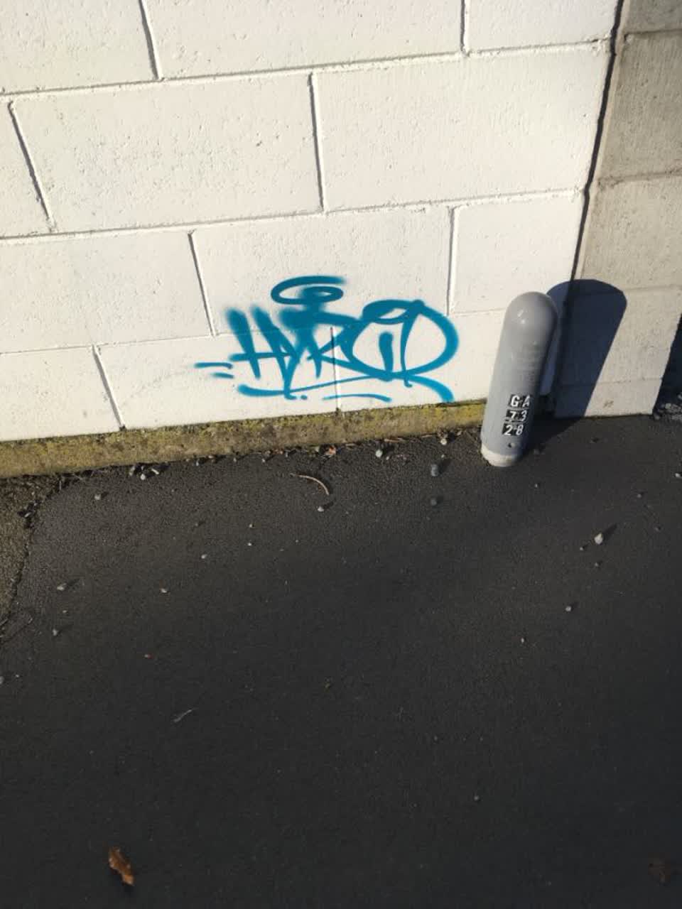 The photograph attached to this graffiti report
