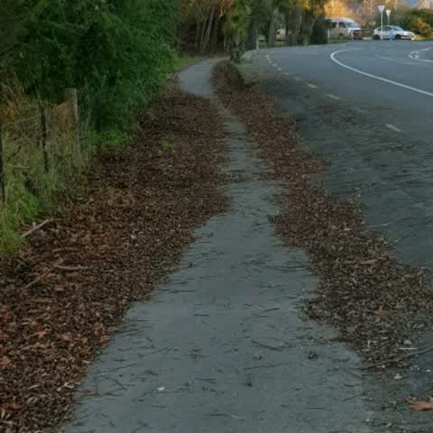 Roading/Streets, a report photo