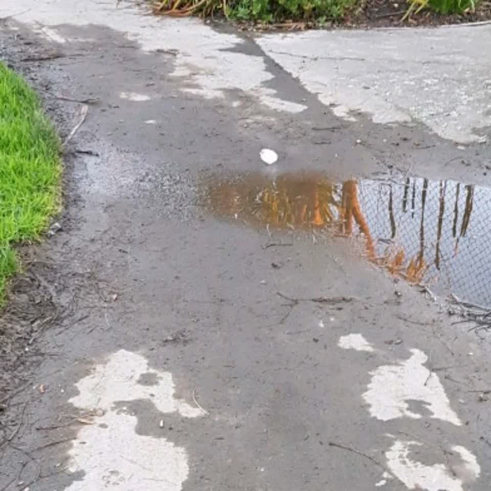 The photograph attached to this flooding report