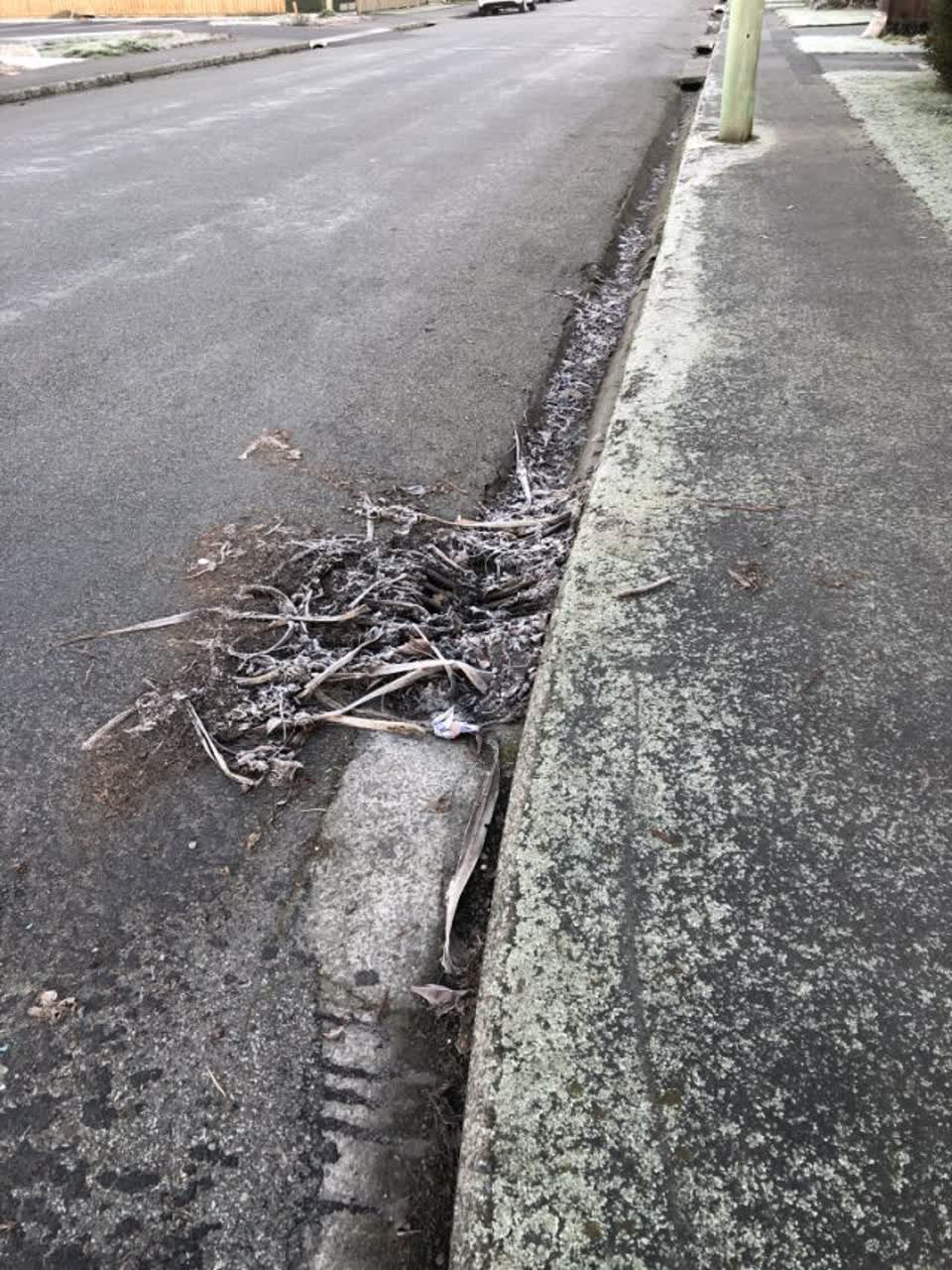 The photograph attached to this roading/streets report