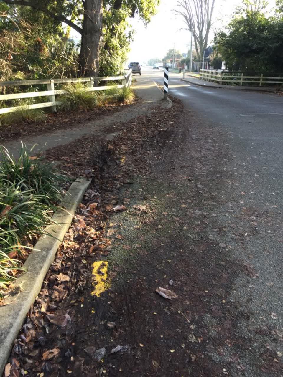 The photograph attached to this roading/streets report