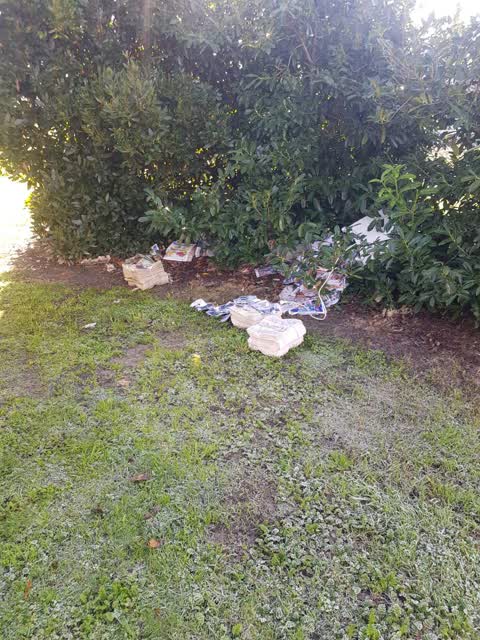 Rubbish/Recycling, a report photo
