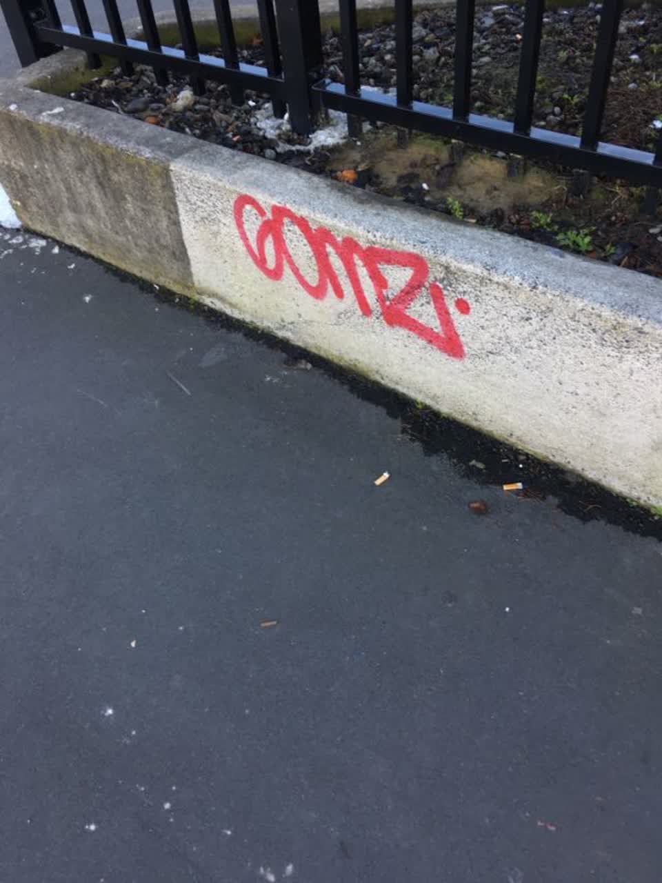 The photograph attached to this graffiti report