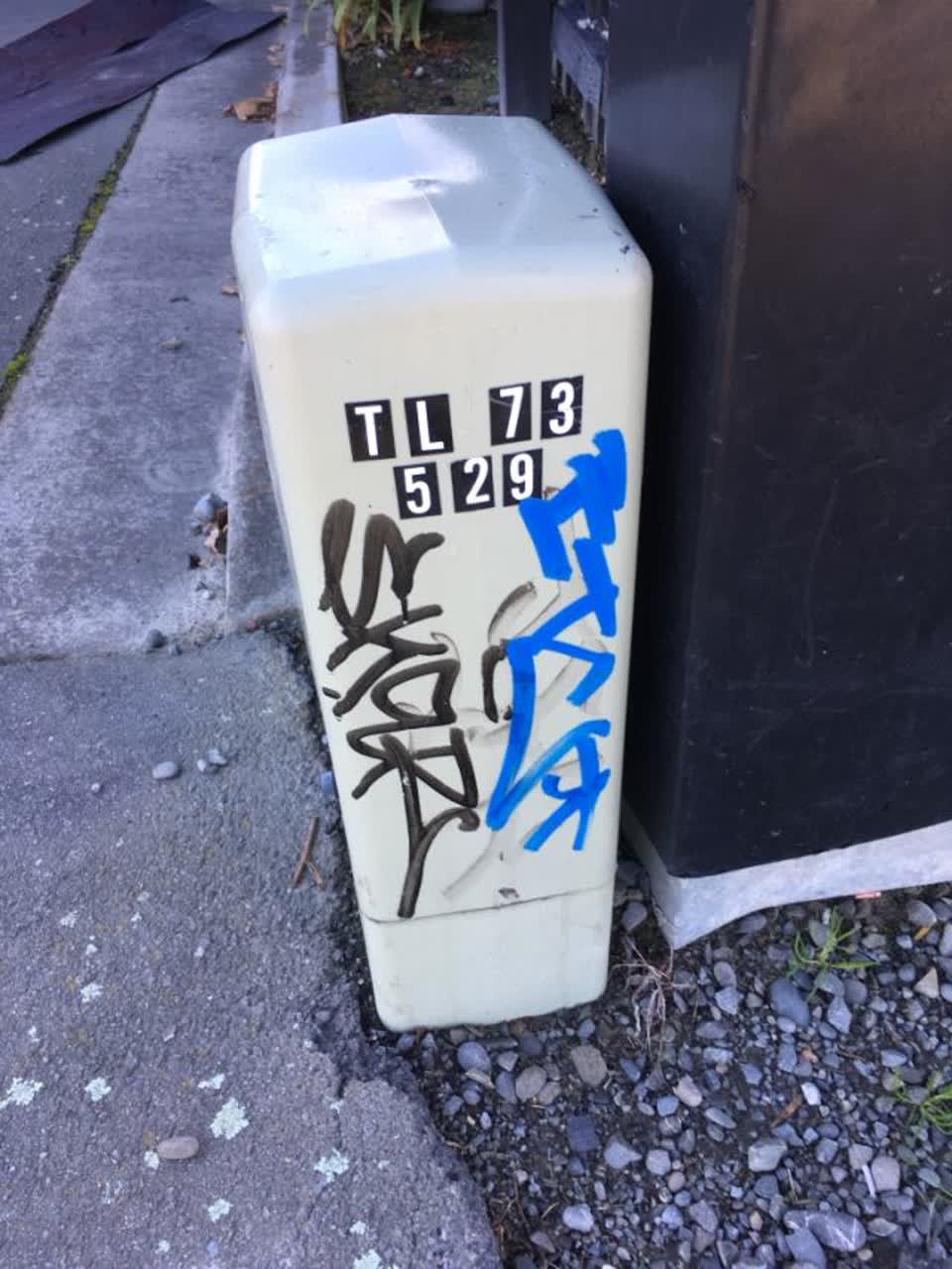 The photograph attached to this graffiti report