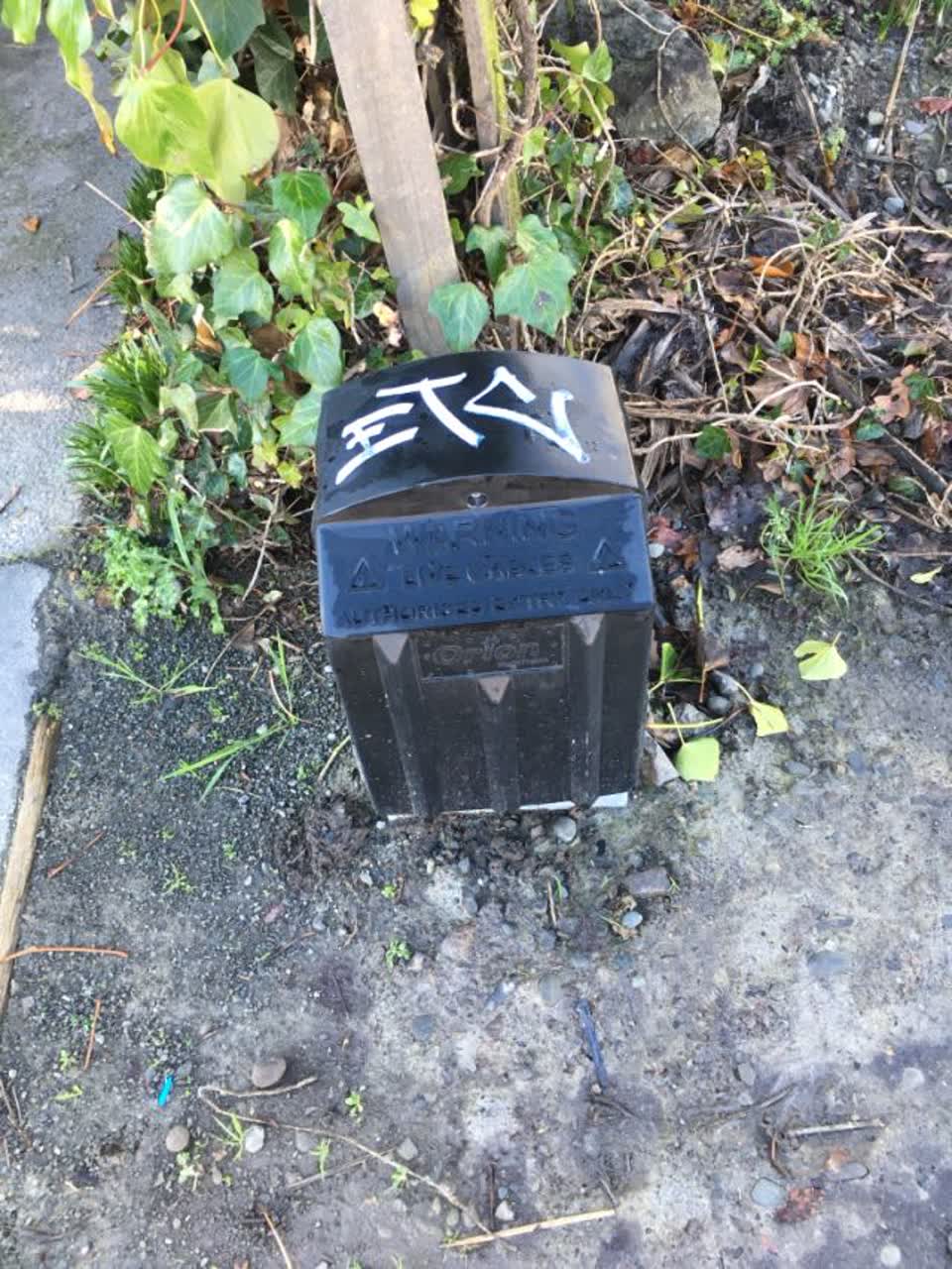 The photograph attached to this graffiti report