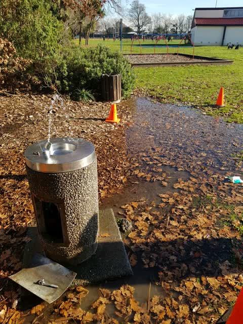 Parks — a report photo