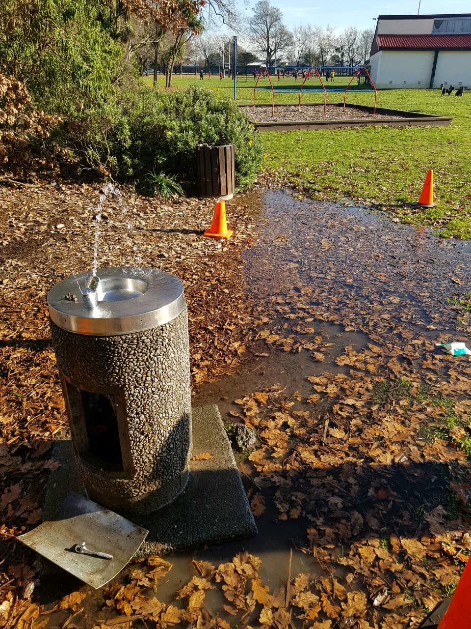 The photograph attached to this parks report