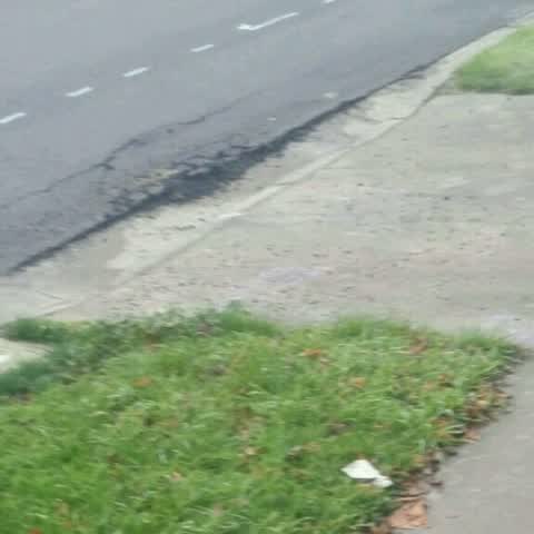 Roading/Streets, a report photo