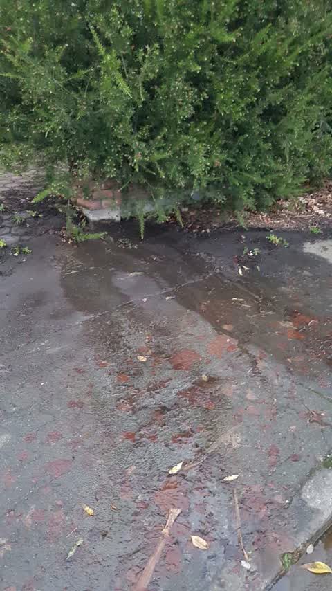 Wastewater/Stormwater, a report photo