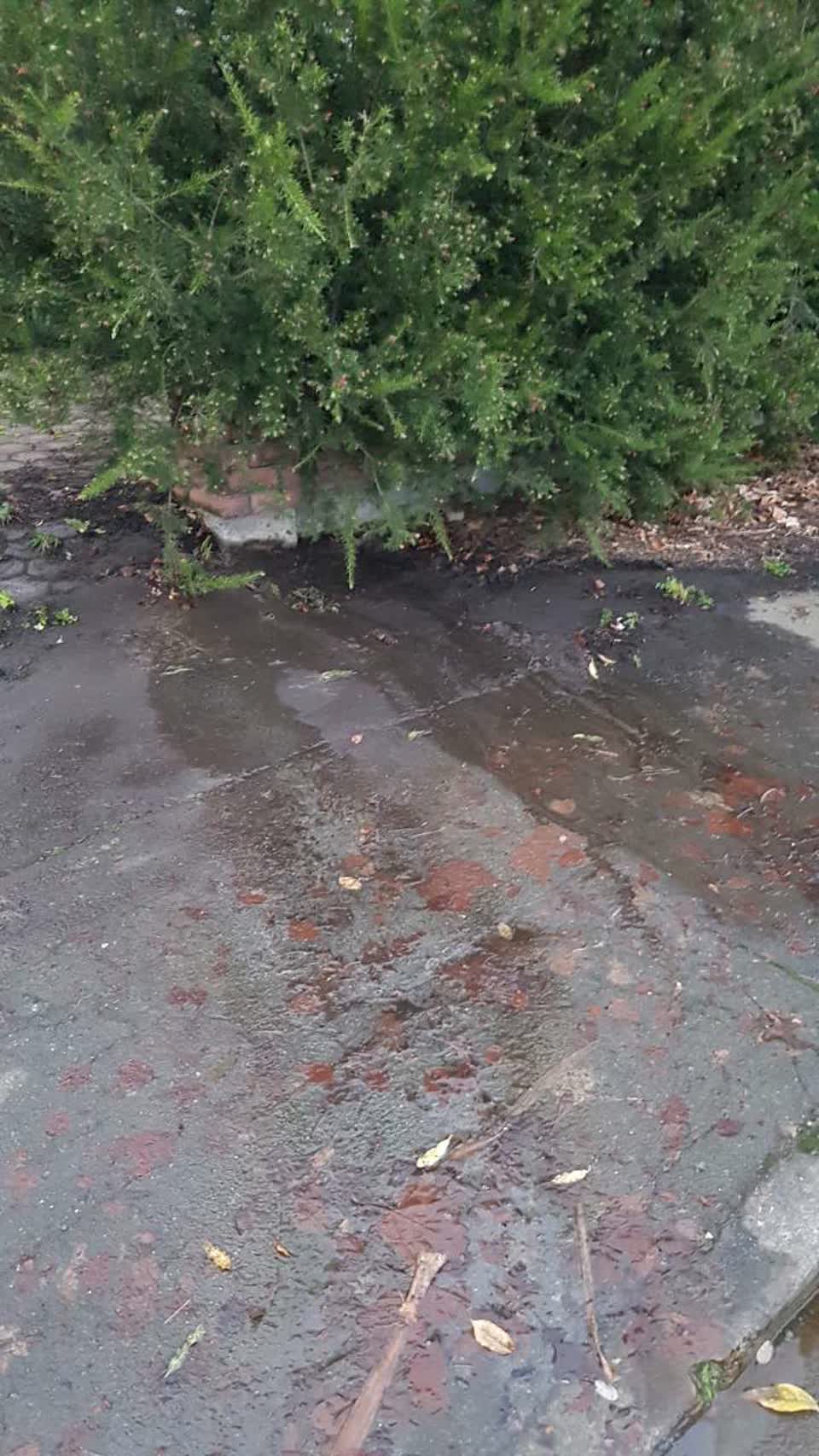 The photograph attached to this wastewater/stormwater report