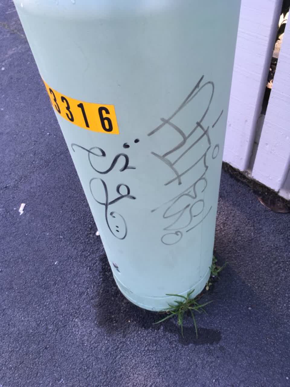 The photograph attached to this graffiti report