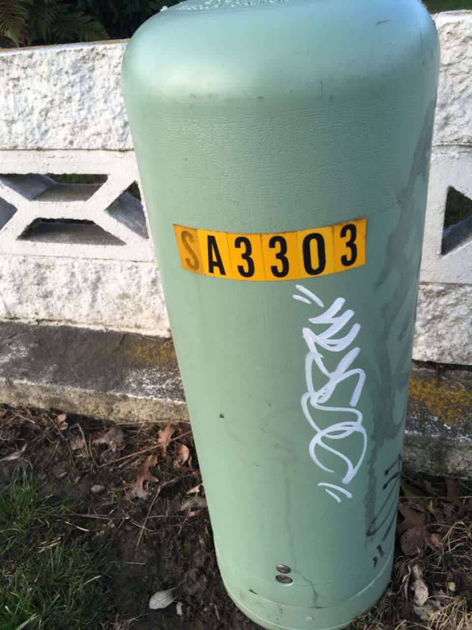 The photograph attached to this graffiti report