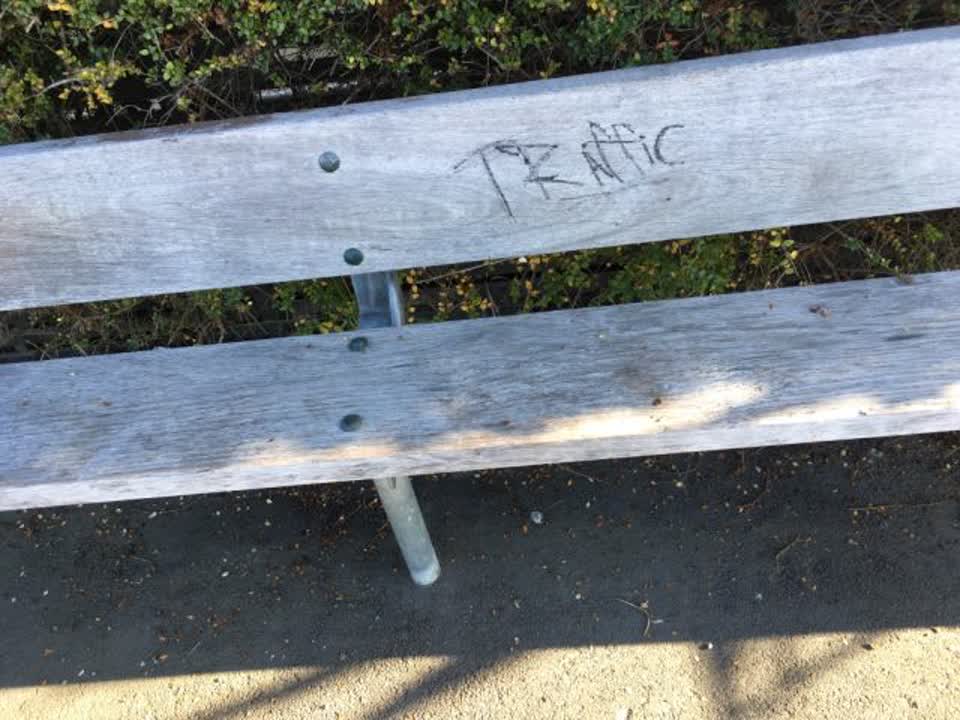The photograph attached to this graffiti report