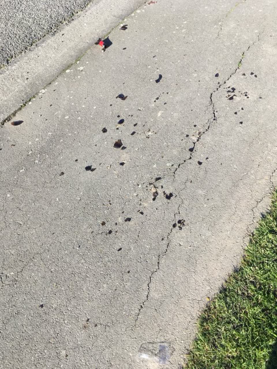 The photograph attached to this roading/streets report