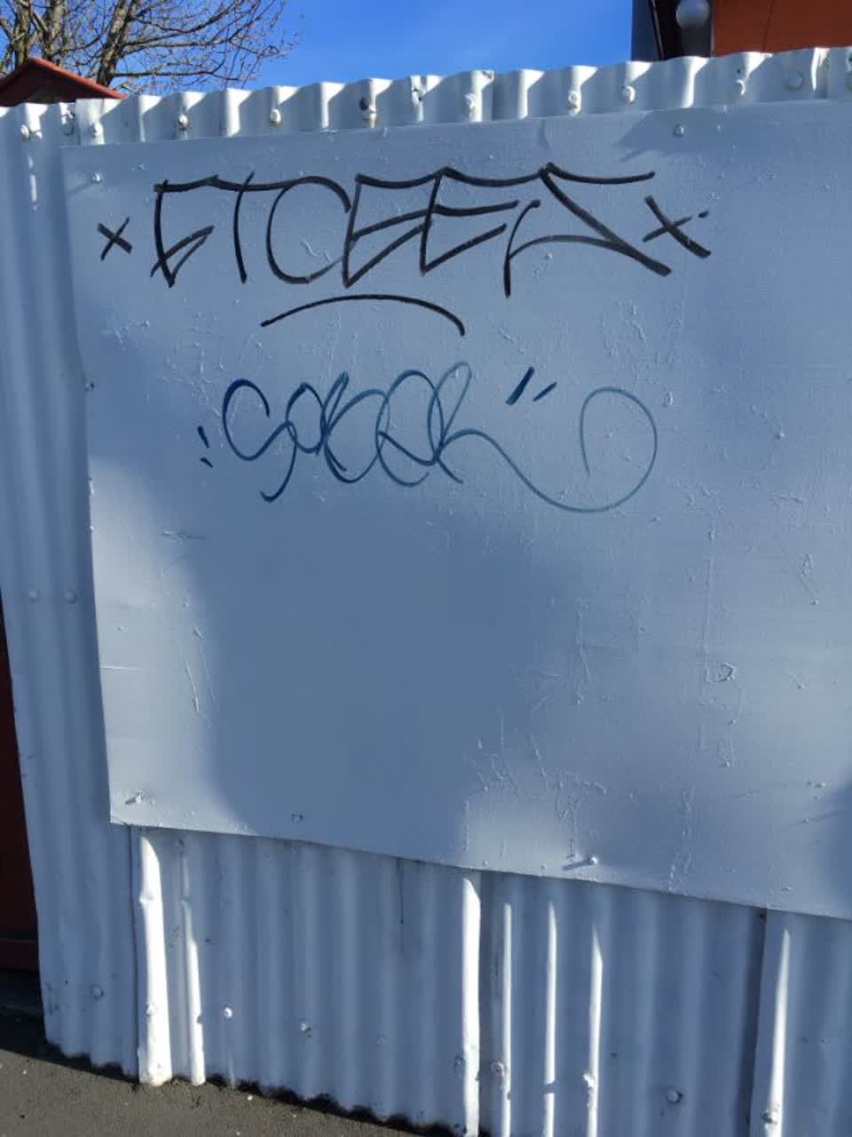 The photograph attached to this graffiti report