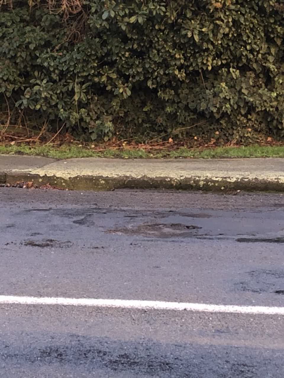 The photograph attached to this roading/streets report