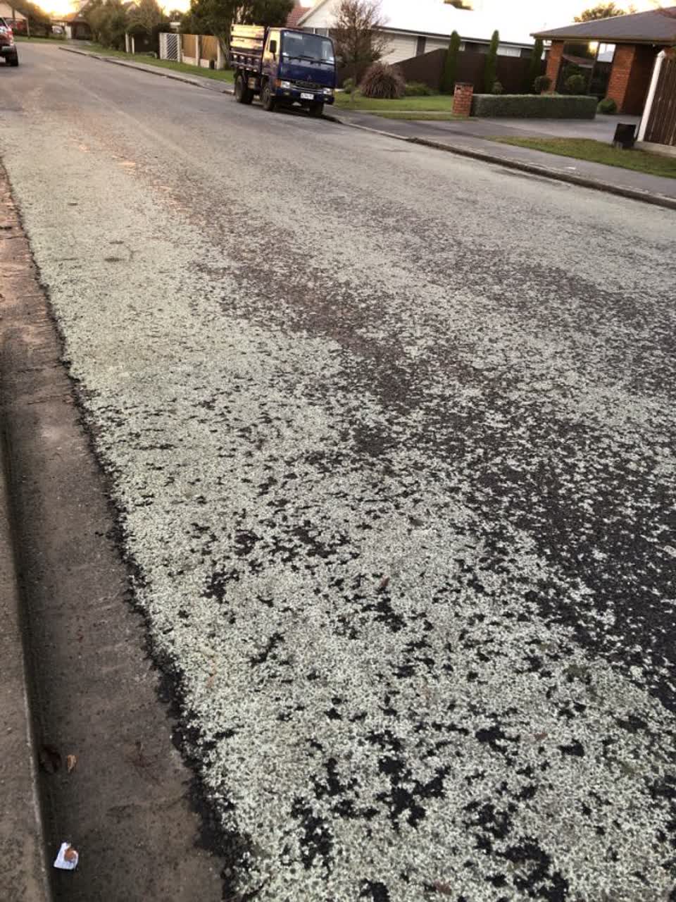 The photograph attached to this roading/streets report