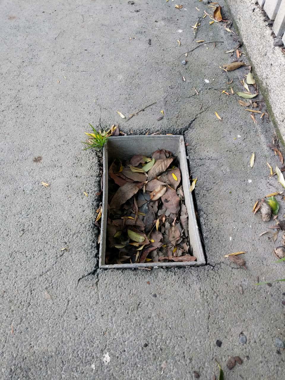 The photograph attached to this water supply report