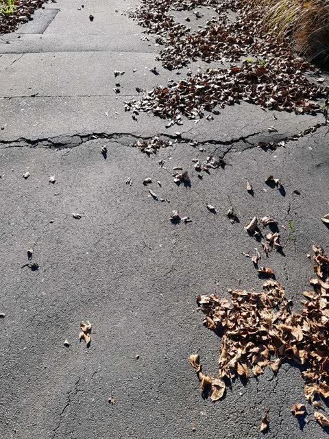 Roading/Streets, a report photo