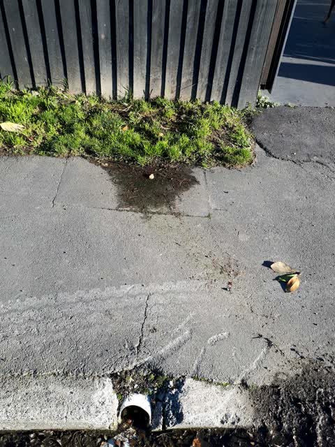 Wastewater/Stormwater, a report photo
