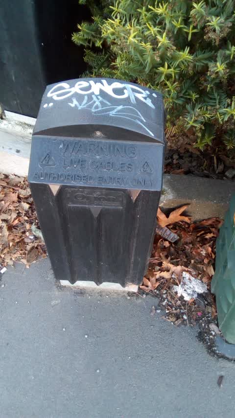 Graffiti, a report photo