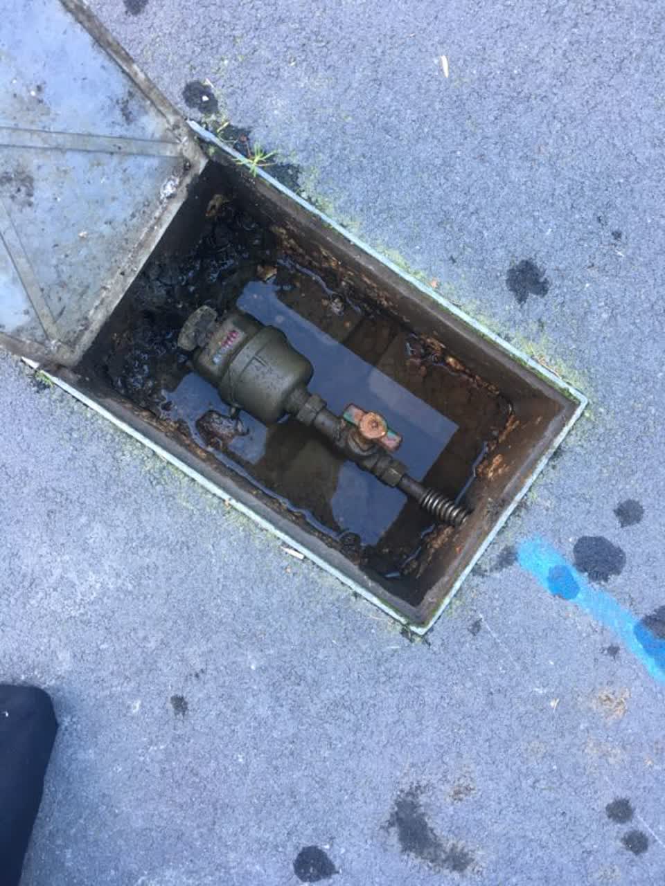 The photograph attached to this water supply report