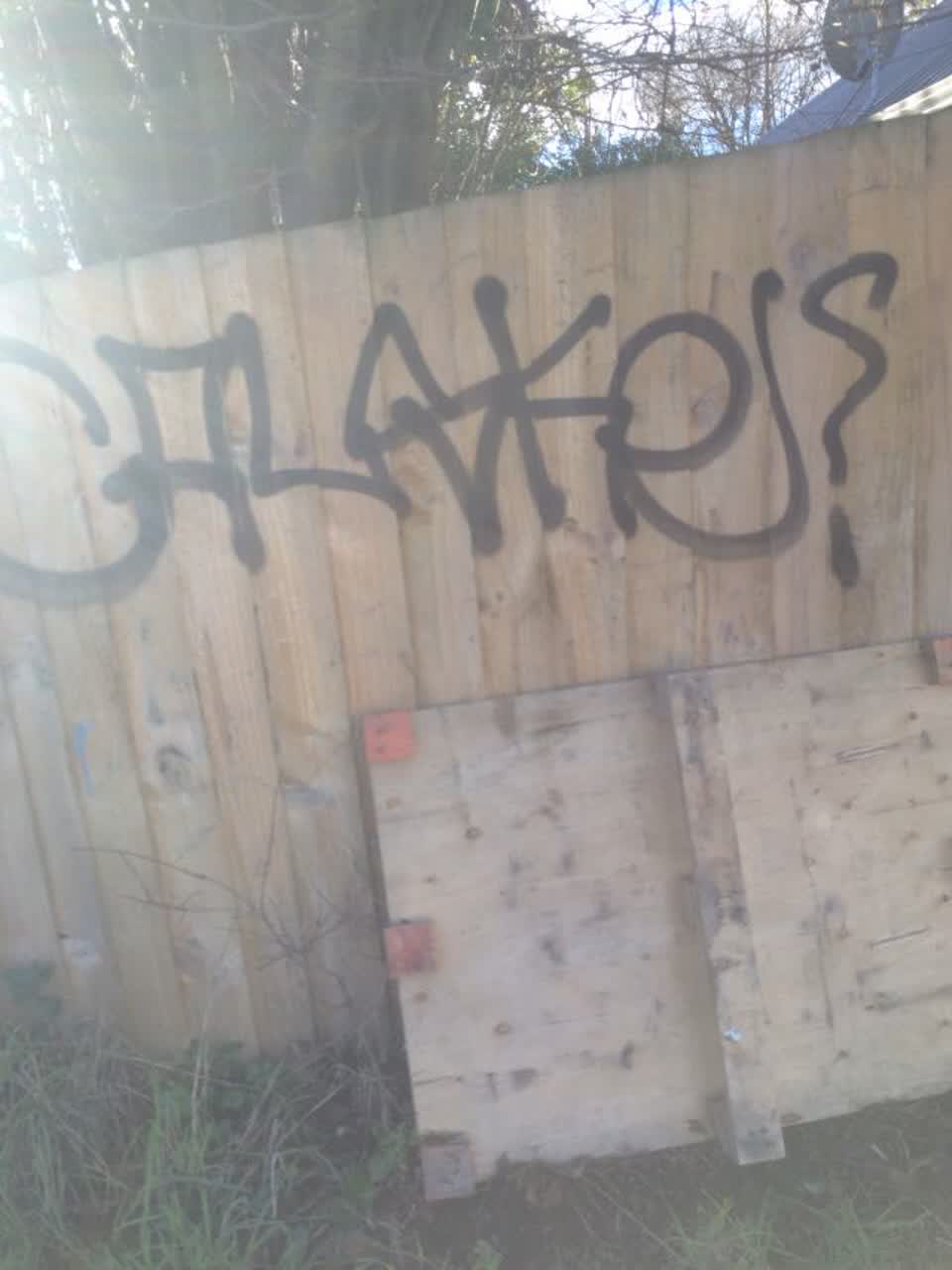 The photograph attached to this graffiti report