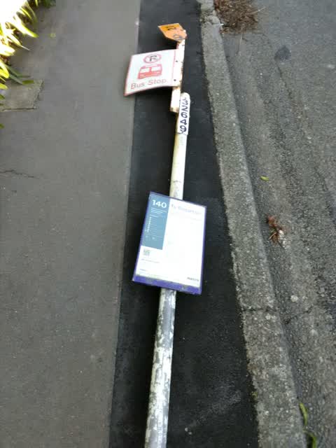 Roading/Streets, a report photo