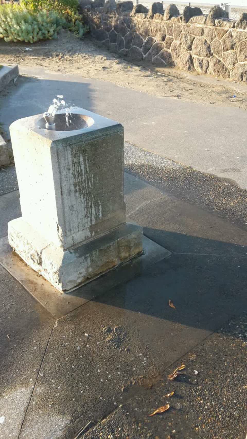 The photograph attached to this parks report