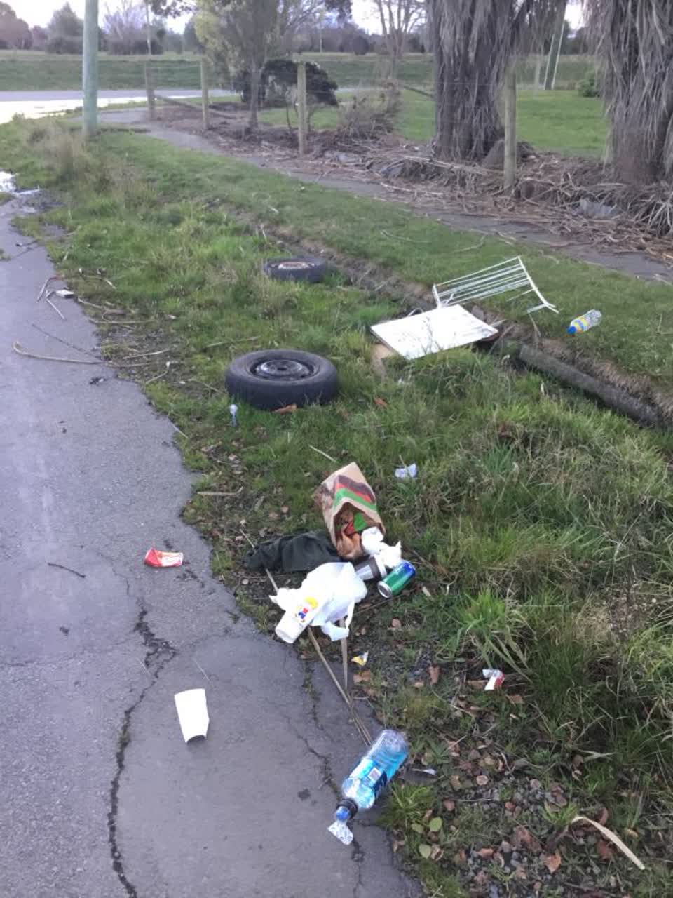 The photograph attached to this rubbish/recycling report