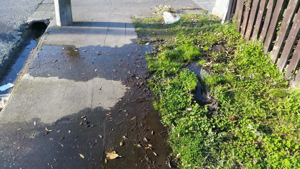 The photograph attached to this water supply report