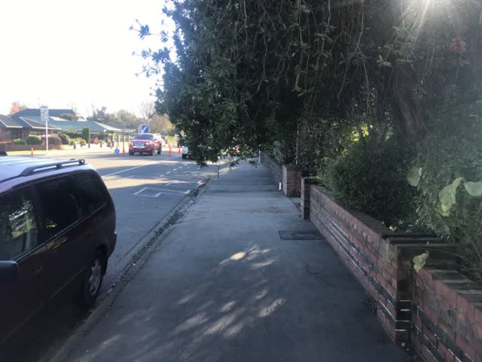 The photograph attached to this parks report