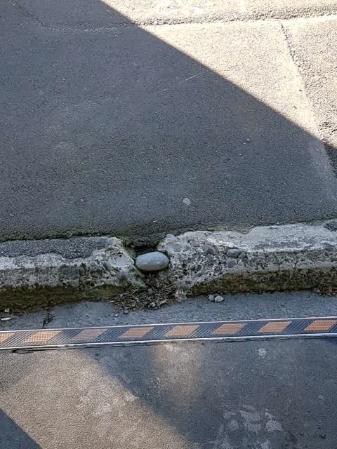 Roading/Streets — a report photo