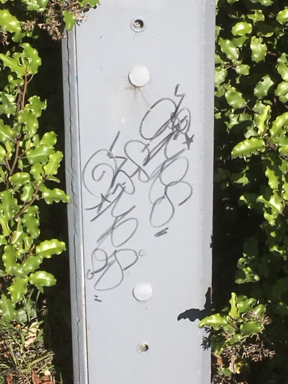 The photograph attached to this graffiti report