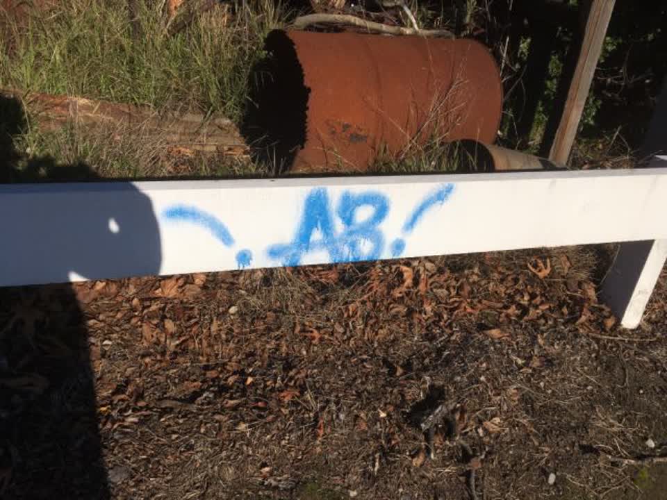 The photograph attached to this graffiti report