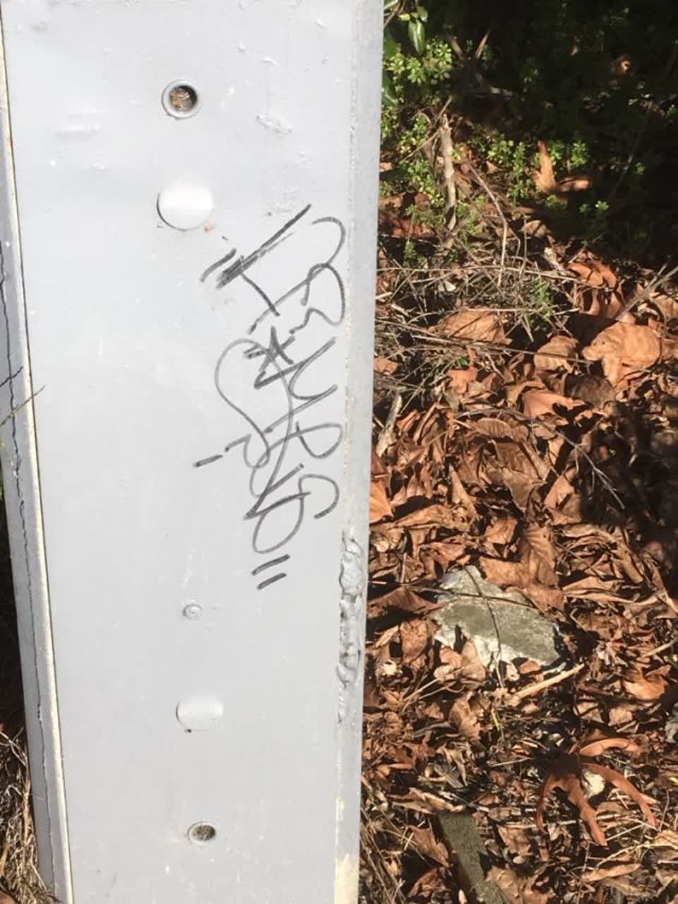 The photograph attached to this graffiti report