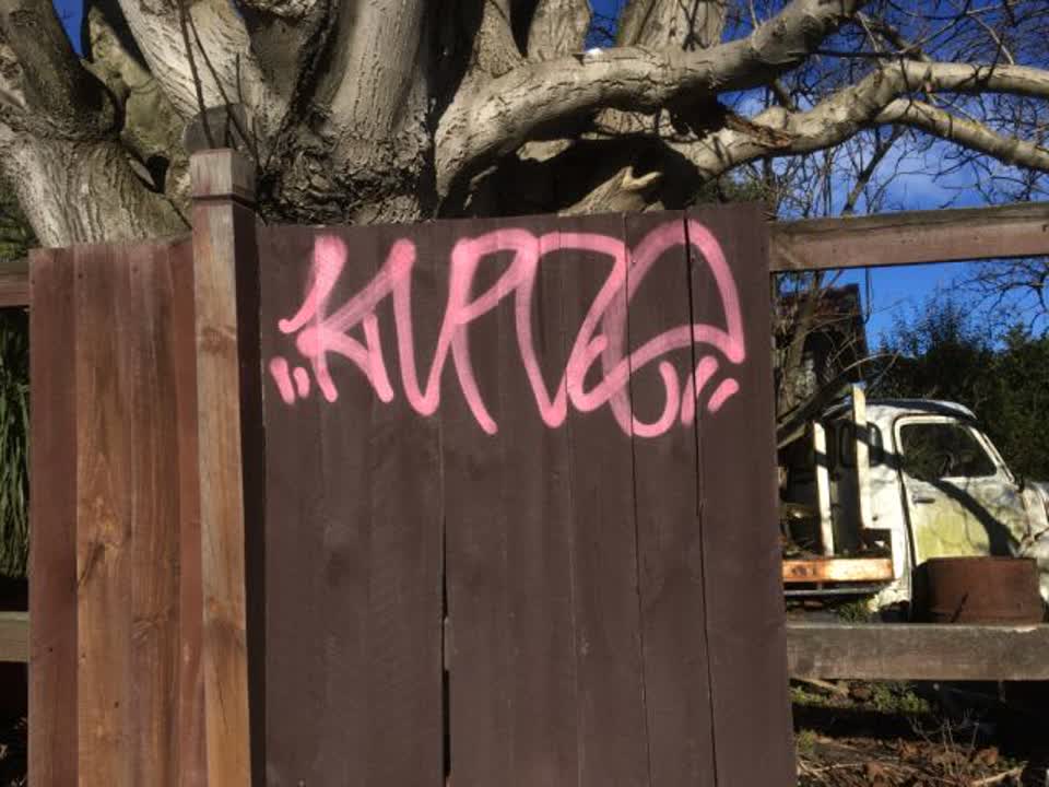 The photograph attached to this graffiti report