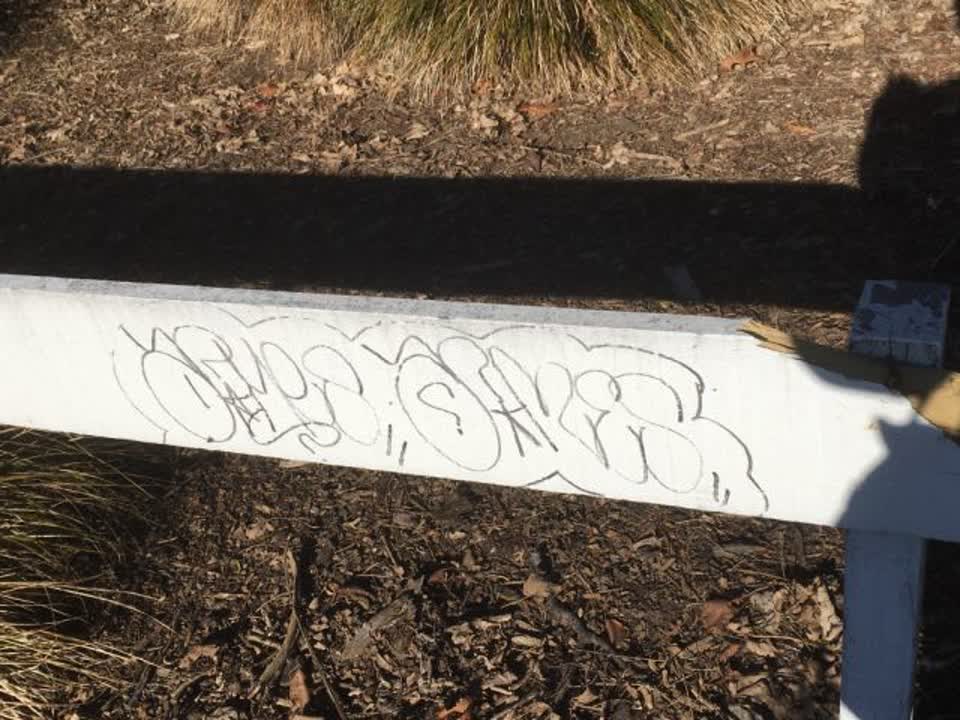 The photograph attached to this graffiti report