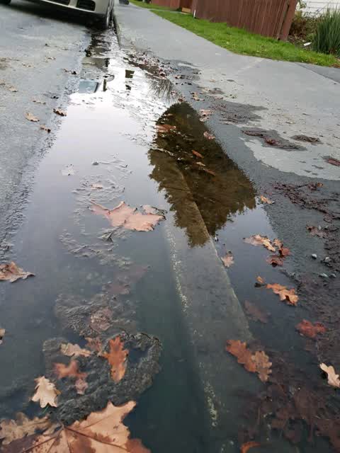 Wastewater/Stormwater, a report photo