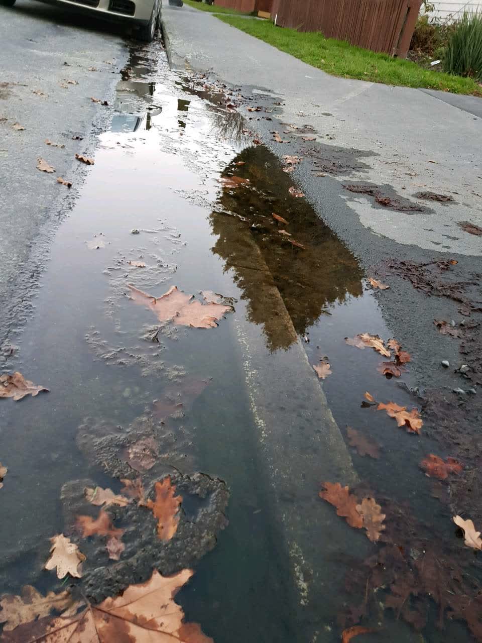The photograph attached to this wastewater/stormwater report
