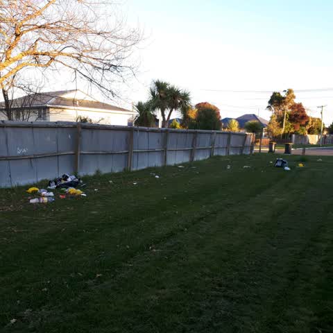 Rubbish/Recycling, a report photo