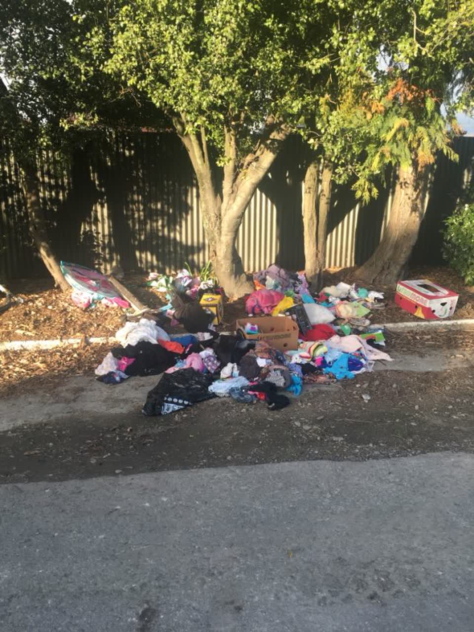 The photograph attached to this parks report