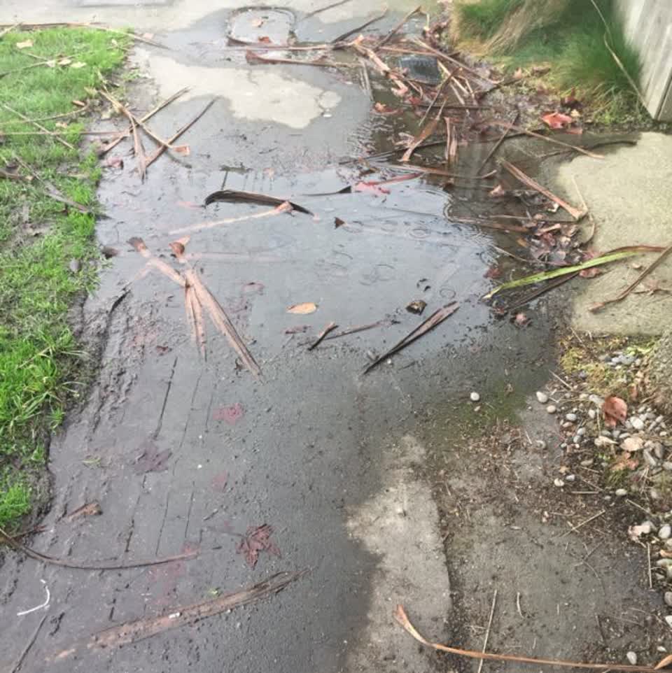 The photograph attached to this water supply report