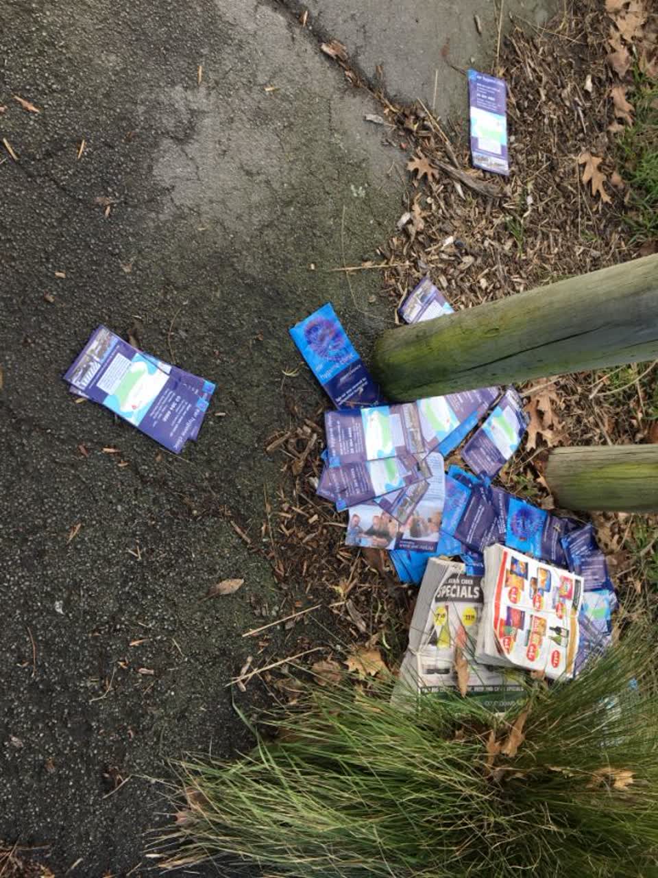 The photograph attached to this rubbish/recycling report