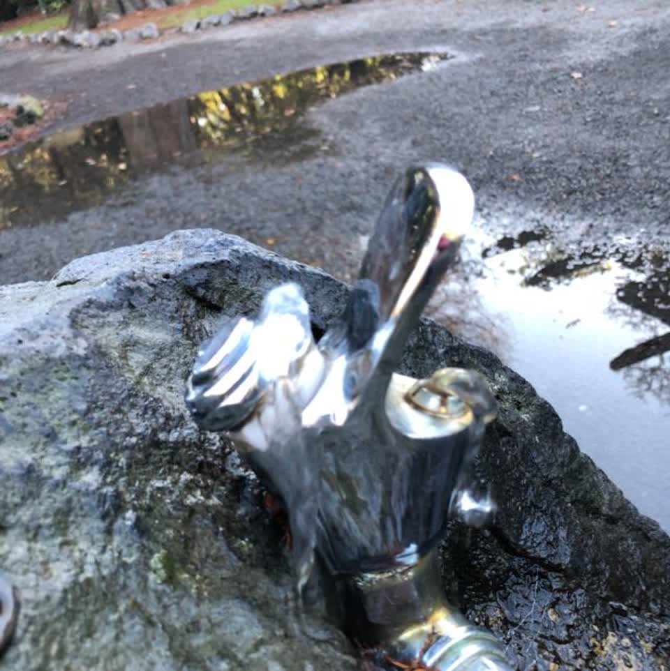 The photograph attached to this parks report