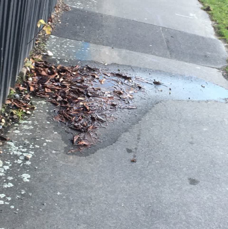 The photograph attached to this wastewater/stormwater report