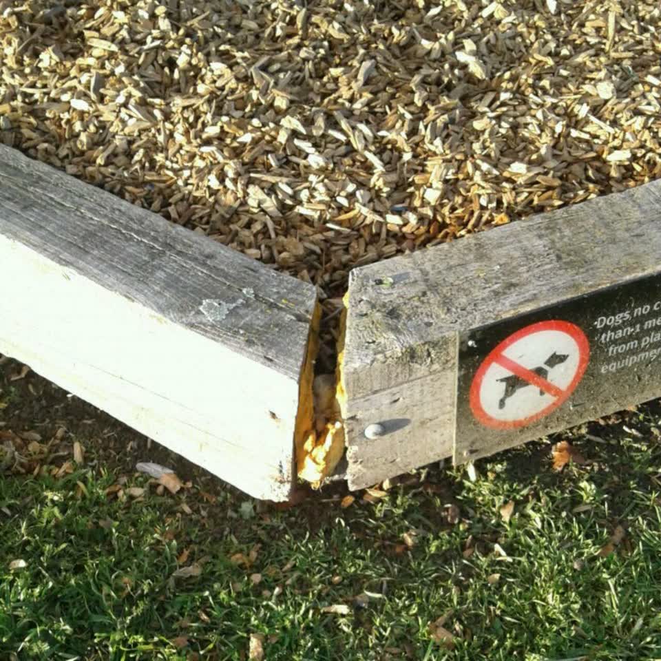 The photograph attached to this parks report