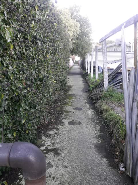 Roading/Streets, a report photo