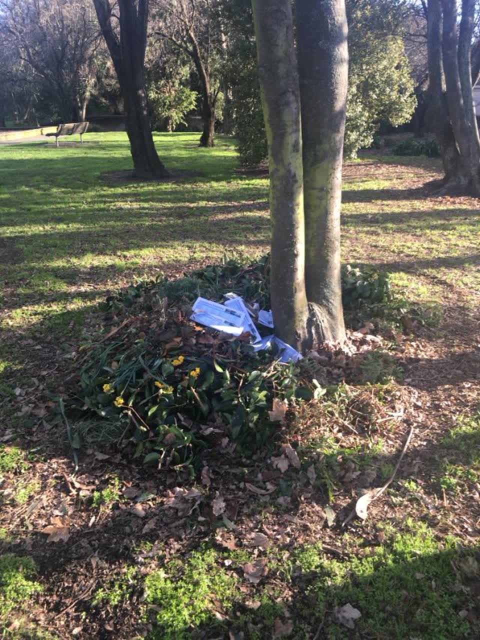 The photograph attached to this parks report
