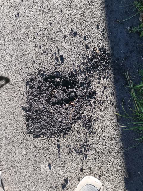 Roading/Streets, a report photo